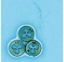 Плашка М3,5х0,6 основной шаг